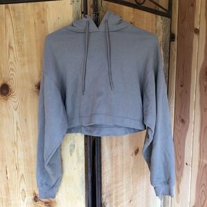 ALO Cropped Hoodie